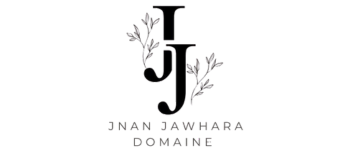 domainejj.com